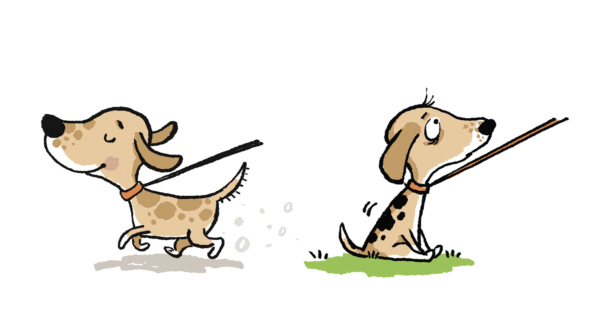 Dogs